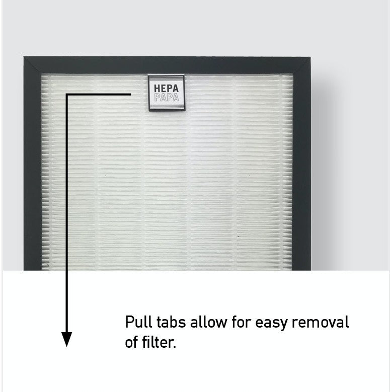 Europace EDH3121S Compatible Replacement Filters (2 Pieces of Carbon Filter) [HEPAPAPA]