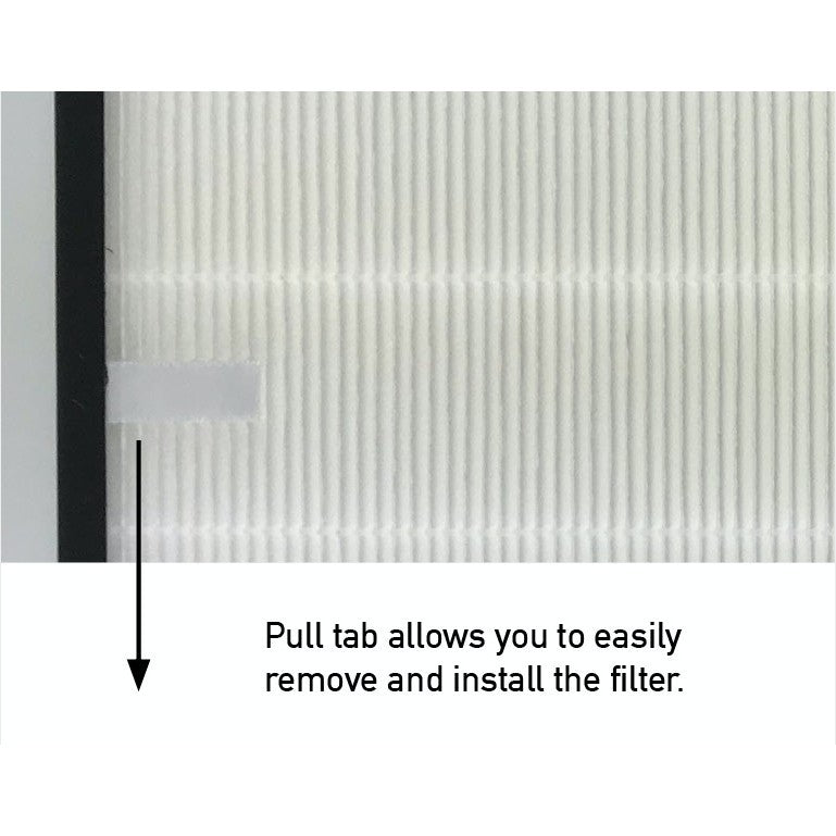 Hitachi EP-A9000 Compatible HEPA and Activated Carbon Filters [Free Alcohol Swabs] [HEPAPAPA]