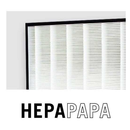 Baomi Gen 1 & 2 Compatible HEPA & Activated Carbon Filter With SANITIZED Anti-Microbial Pre-Filter [HEPAPAPA]