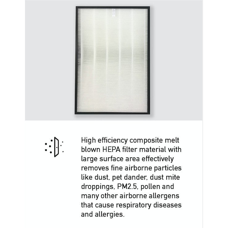 Hitachi EP-A9000 Compatible HEPA and Activated Carbon Filters [Free Alcohol Swabs] [HEPAPAPA]