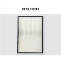 Hitachi EP-A9000 Compatible HEPA and Activated Carbon Filters [Free Alcohol Swabs] [HEPAPAPA]