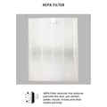 Daikin MC30VVM-H Compatible Replacement Filters [HEPAPAPA]