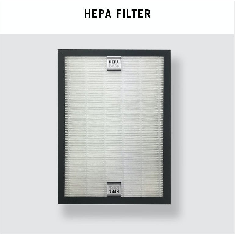 Europace EDH3121S Compatible Replacement Filters (2 Pieces of Carbon Filter) [HEPAPAPA]