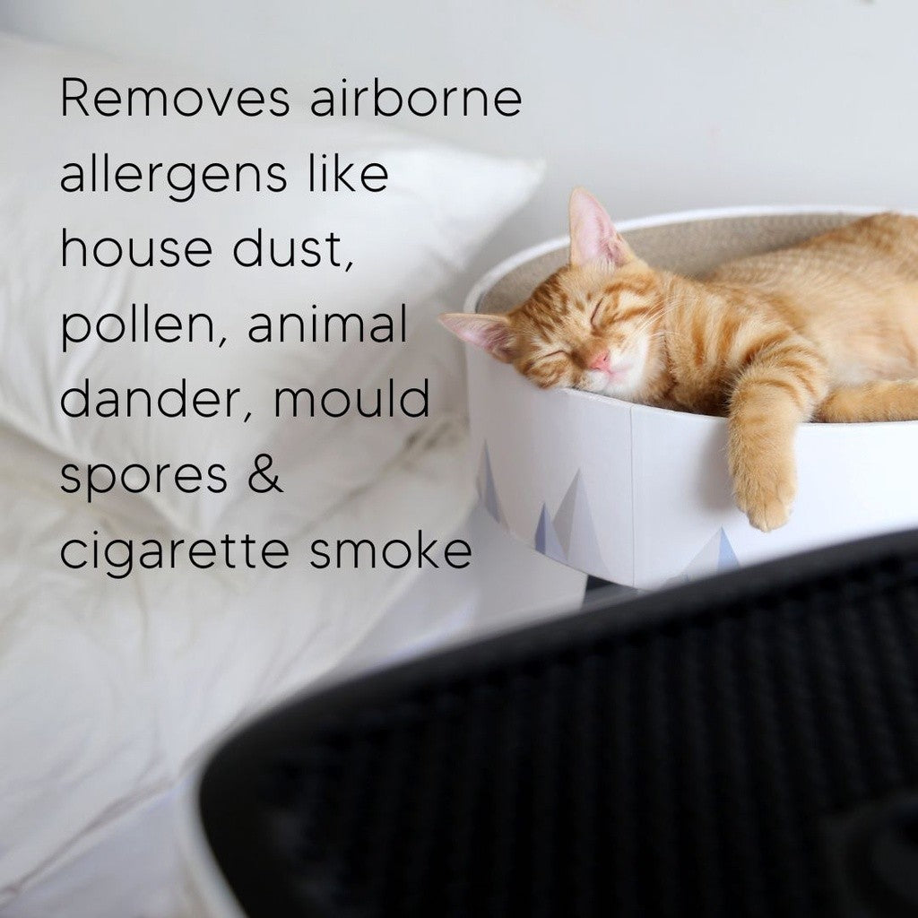 Smart Air The Sqair Air Purifier [HEPAPAPA]