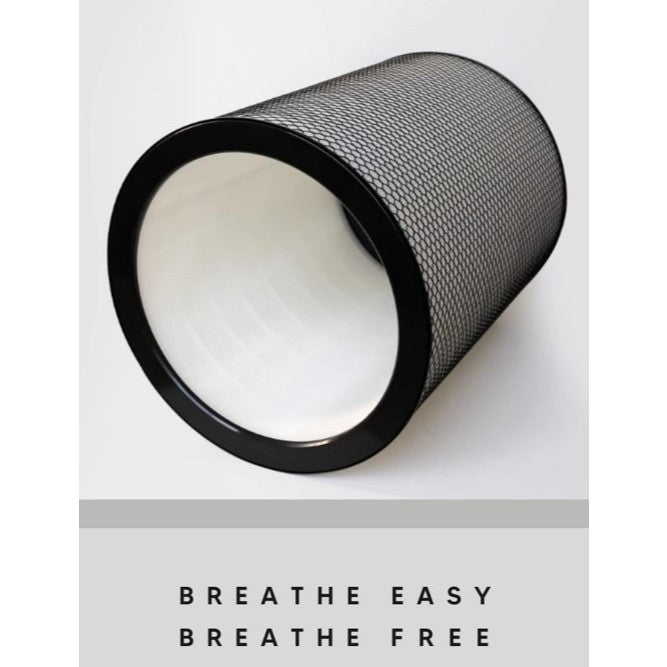 Dyson BP03 BP04 BP06 Compatible Replacement Filters [HEPAPAPA]