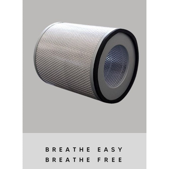 Austin Air Healthmate HM2 / HM4 Series Compatible Replacement Filters [HEPAPAPA]